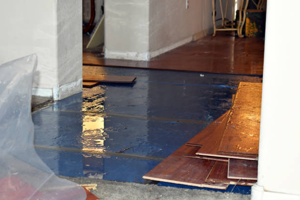 Professional Basement Flooding technician working in Bloomington, IN